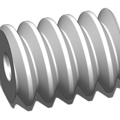 VSFC06 - Vis sans fin Module 0,5 pour axe Ø2mm